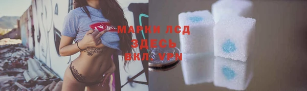 СК Волоколамск