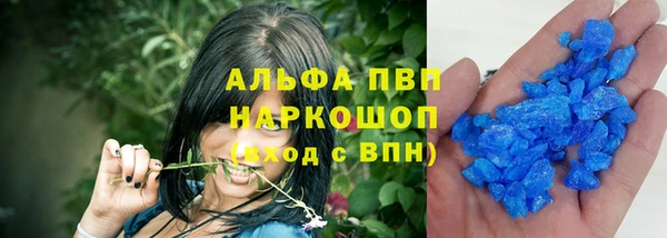 СК Волоколамск