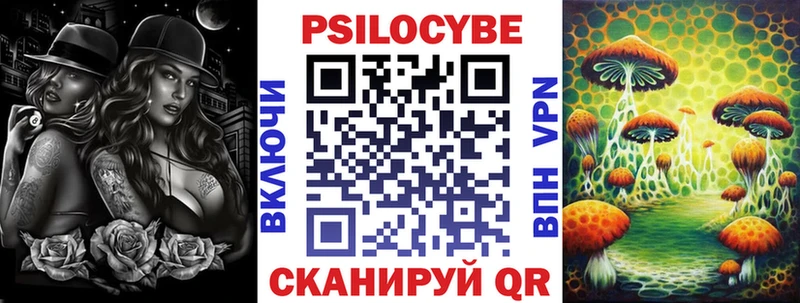 наркотики  Казань  Галлюциногенные грибы Cubensis 